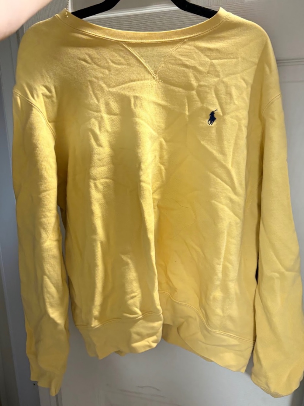 Polo Crewneck Sweatshirt